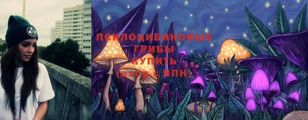 мдпв Вязники